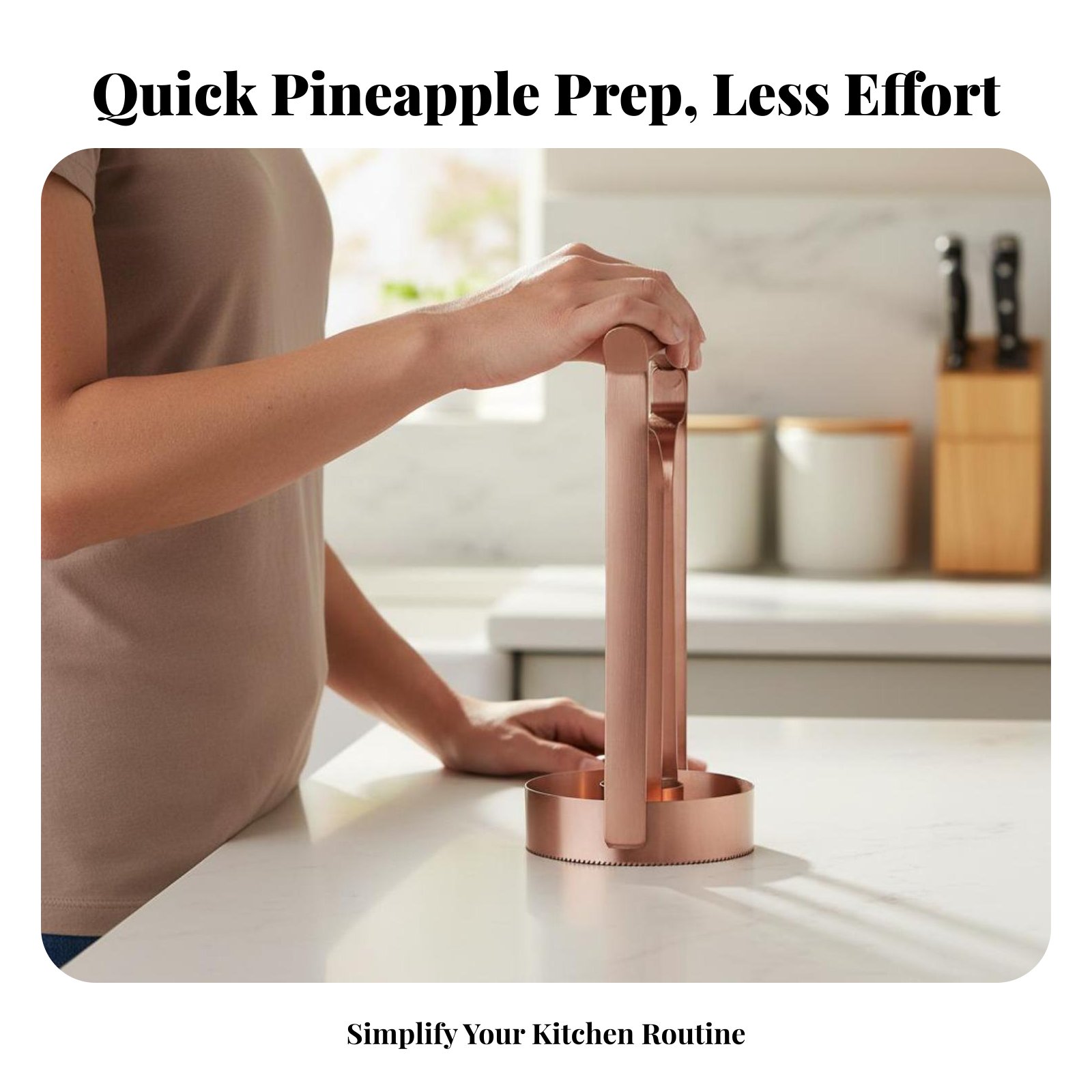 Stainless Steel Pineapple Cutt - Vegetable Kitchen Gadgets ulasan dan harga