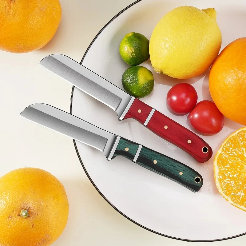 Stainless steel Fruit peeler S - Vegetable Kitchen Gadgets ulasan dan harga