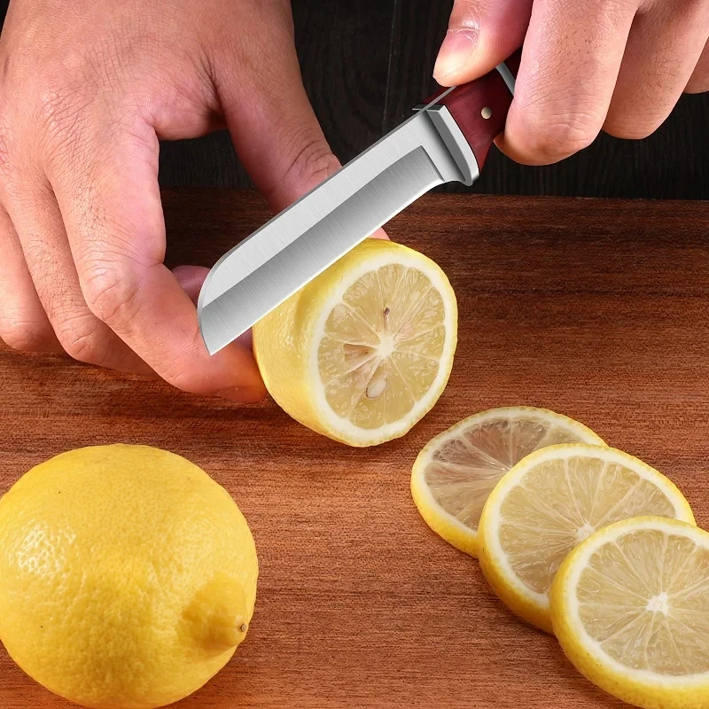 Stainless steel Fruit peeler S - Vegetable Kitchen Gadgets ulasan dan harga
